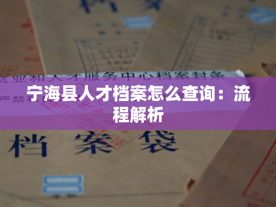 宁海县人才档案怎么查询：流程解析