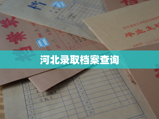 河北录取档案查询
