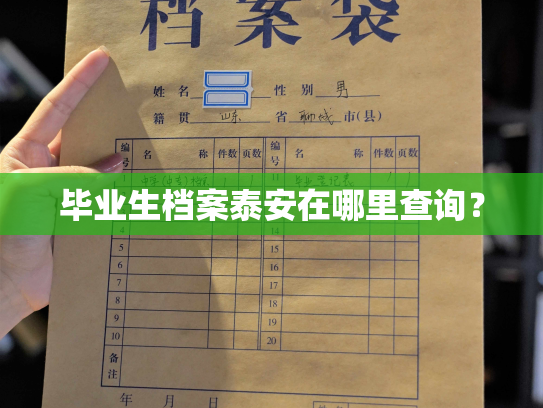 毕业生档案泰安在哪里查询？