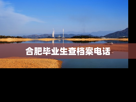 合肥毕业生查档案电话