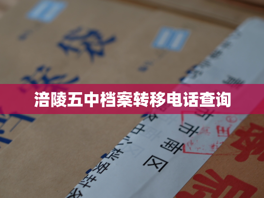 涪陵五中档案转移电话查询