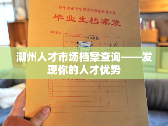 潮州人才市场档案查询——发现你的人才优势