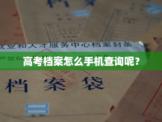高考档案怎么手机查询呢？