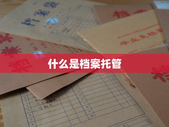 什么是档案托管