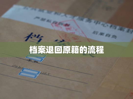 档案退回原籍的流程