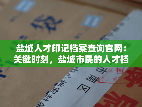 盐城人才印记档案查询官网：关键时刻，盐城市民的人才档案信息就在这里了！