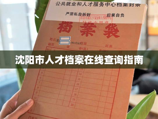 沈阳市人才档案在线查询指南