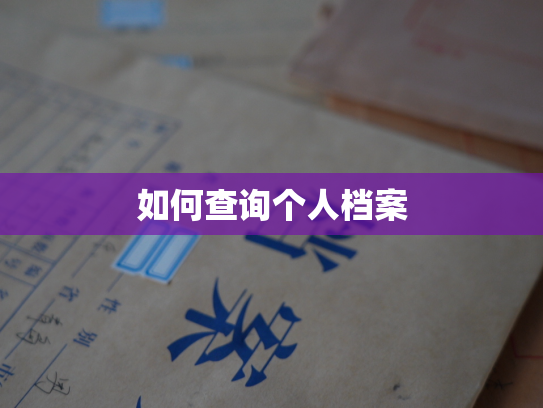 如何查询个人档案