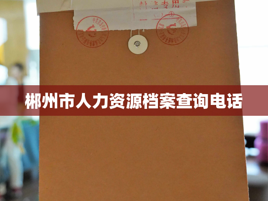 郴州市人力资源档案查询电话