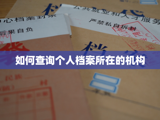 如何查询个人档案所在的机构