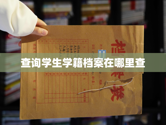 查询学生学籍档案在哪里查