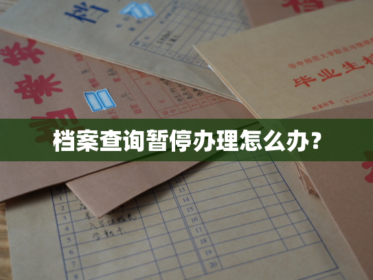 档案查询暂停办理怎么办？
