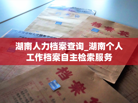 湖南人力档案查询_湖南个人工作档案自主检索服务