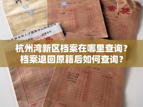 杭州湾新区档案在哪里查询？档案退回原籍后如何查询？