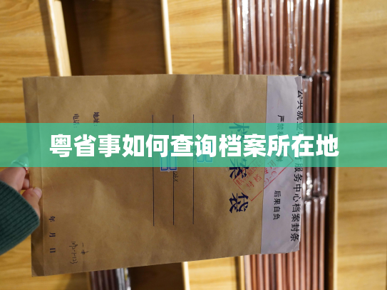 粤省事如何查询档案所在地