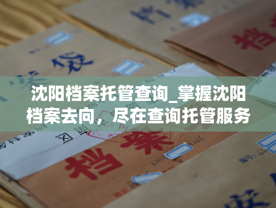 沈阳档案托管查询_掌握沈阳档案去向，尽在查询托管服务。