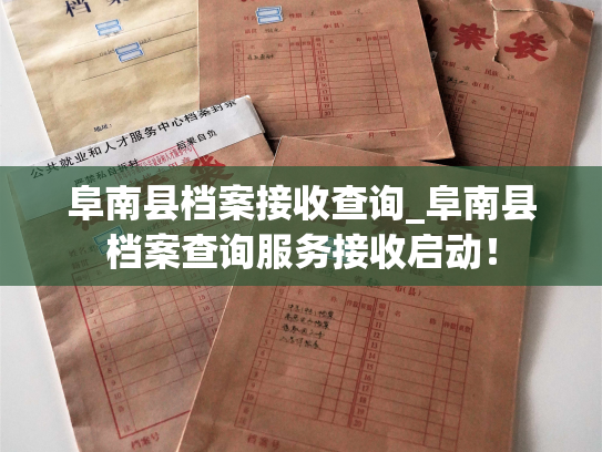 阜南县档案接收查询_阜南县档案查询服务接收启动！