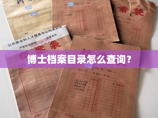 博士档案目录怎么查询？