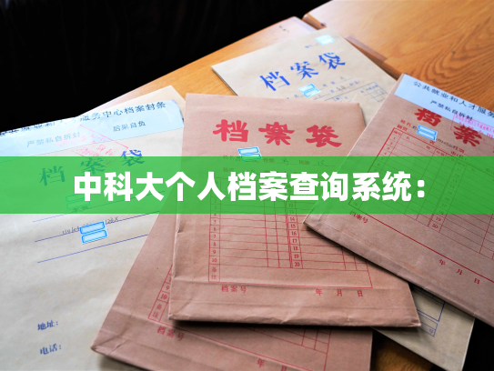 中科大个人档案查询系统：
