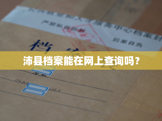 沛县档案能在网上查询吗？