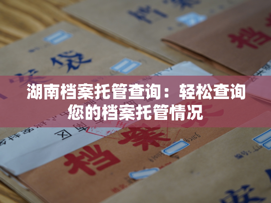 湖南档案托管查询：轻松查询您的档案托管情况