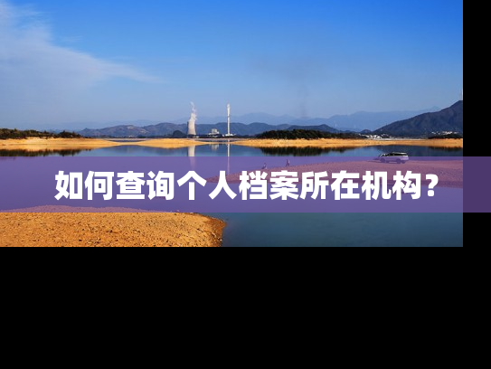 如何查询个人档案所在机构？