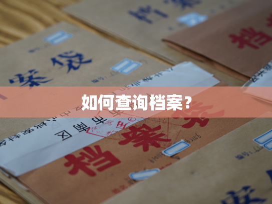如何查询档案？
