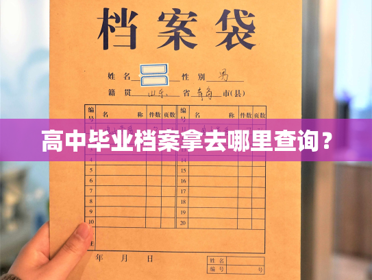 高中毕业档案拿去哪里查询？