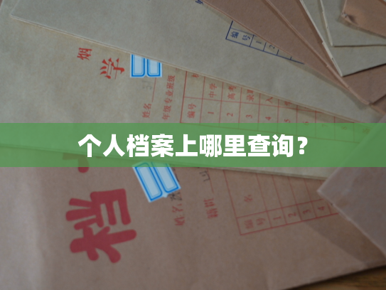 个人档案上哪里查询？