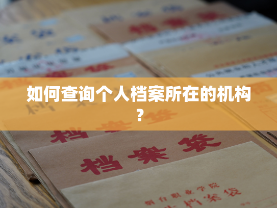 如何查询个人档案所在的机构？