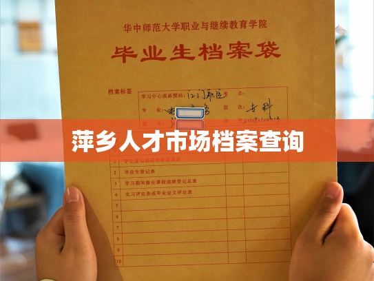 萍乡人才市场档案查询