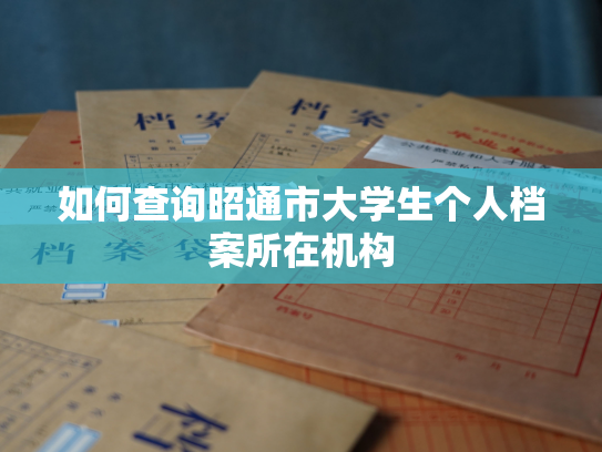 如何查询昭通市大学生个人档案所在机构