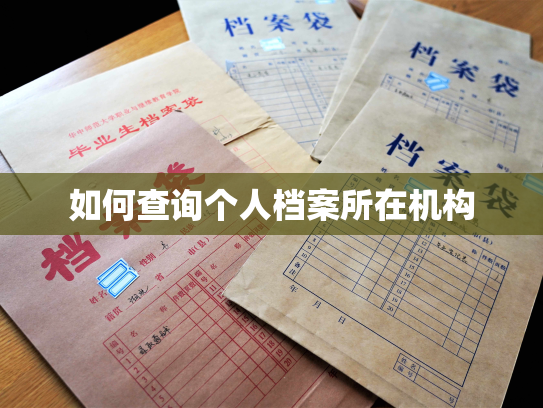 如何查询个人档案所在机构