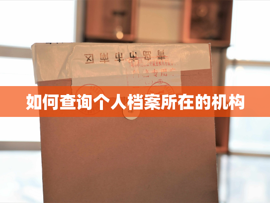 如何查询个人档案所在的机构
