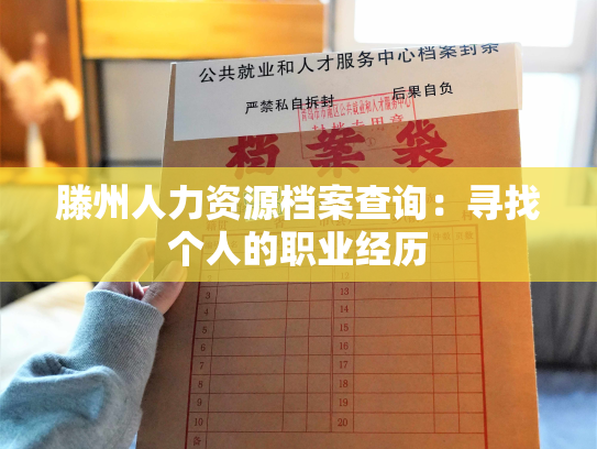 滕州人力资源档案查询：寻找个人的职业经历