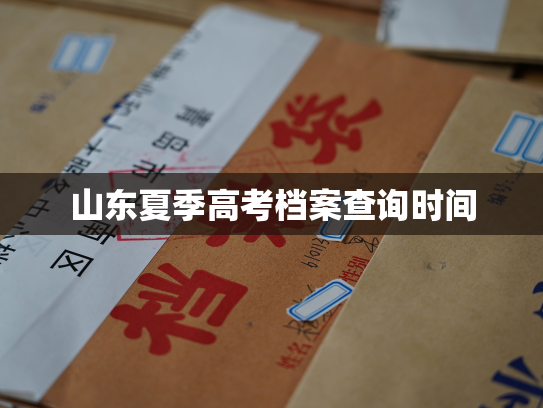 山东夏季高考档案查询时间