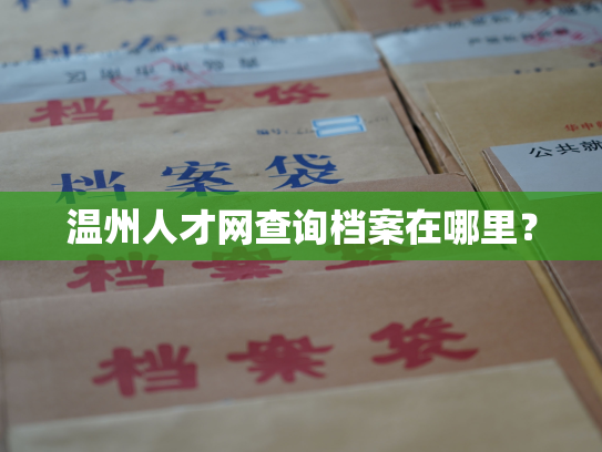 温州人才网查询档案在哪里？