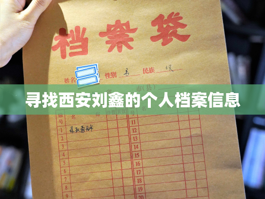 寻找西安刘鑫的个人档案信息