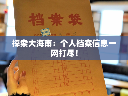 探索大海南：个人档案信息一网打尽！