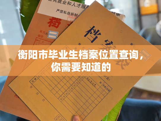 衡阳市毕业生档案位置查询，你需要知道的