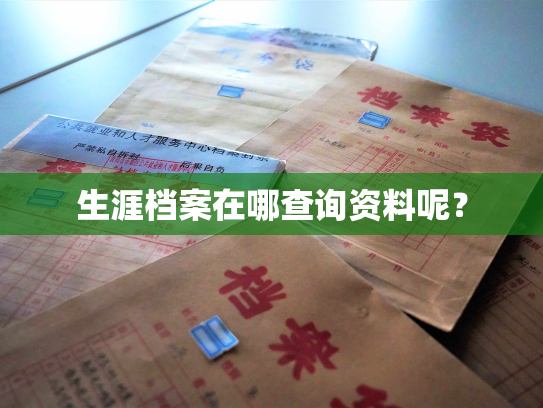 生涯档案在哪查询资料呢？