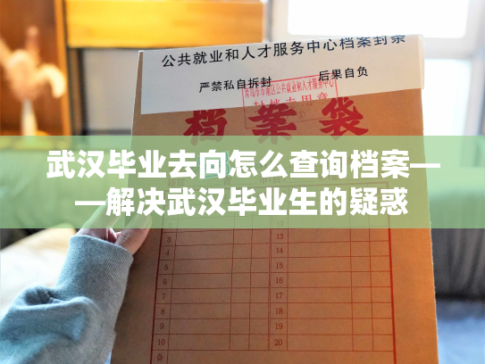 武汉毕业去向怎么查询档案——解决武汉毕业生的疑惑