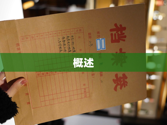 概述