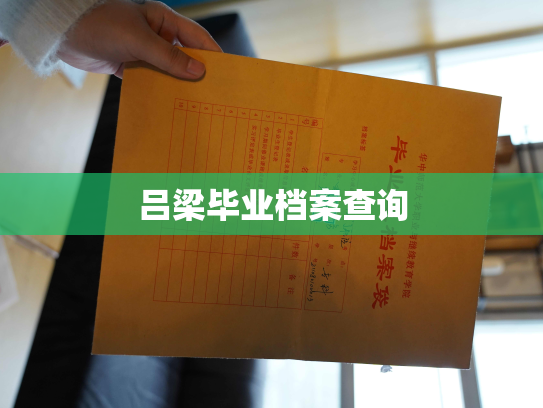 吕梁毕业档案查询