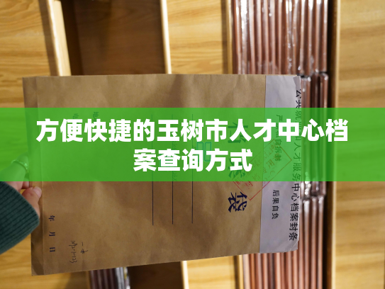 方便快捷的玉树市人才中心档案查询方式