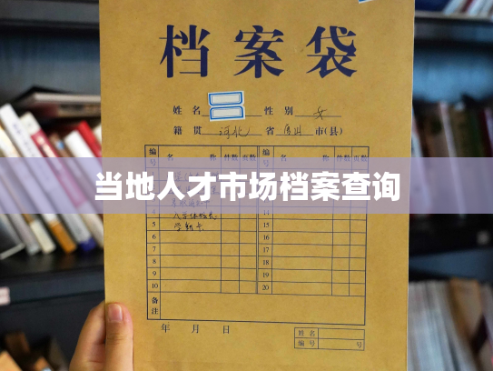 当地人才市场档案查询