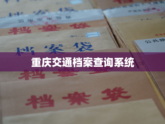 重庆交通档案查询系统