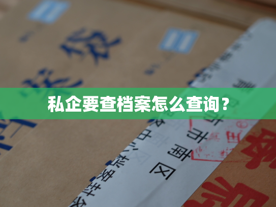 私企要查档案怎么查询？
