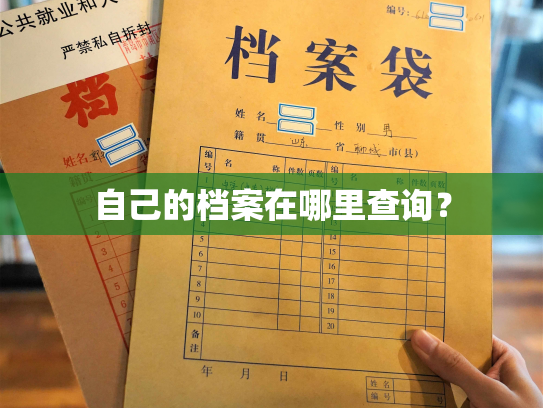 自己的档案在哪里查询？