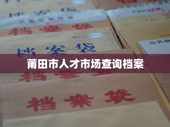 莆田市人才市场查询档案